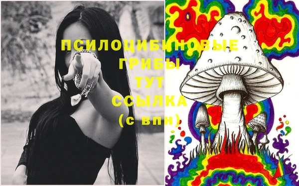 метадон Верея