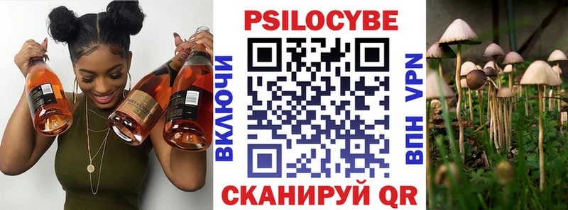 Галлюциногенные грибы Cubensis  Вологда 